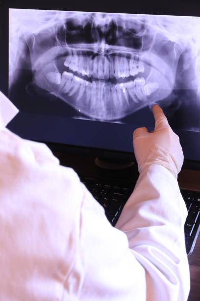 Best Emergency X-Rays and Diagnostics in Old Brookville, NY